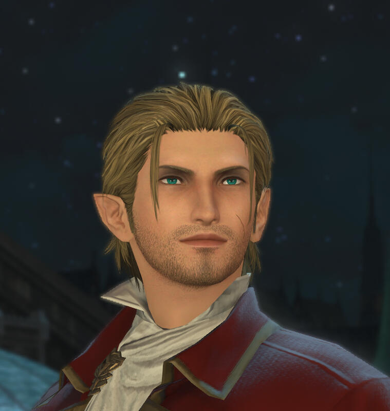 Lord Danneth Hartwell Advisor Aid